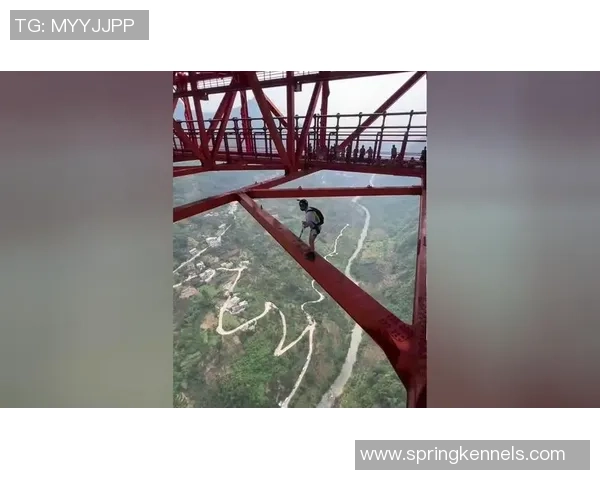 极限运动热议：西安极限运动队的技术争议