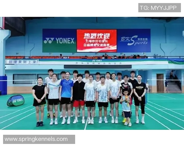 2026羽毛球力量排名：上海羽毛球队创新高