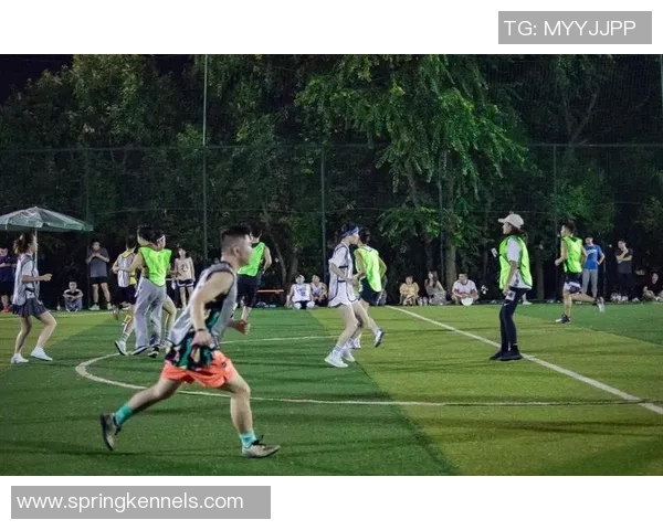 从零开始：飞盘力量完全攻略_1