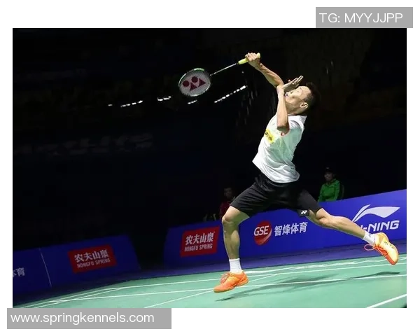 大师赛特别报道：重庆羽毛球队的奋斗经历