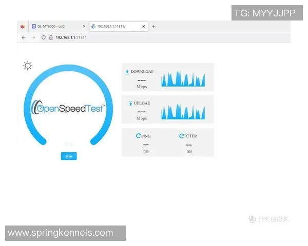 数据分析：TES的速度表现