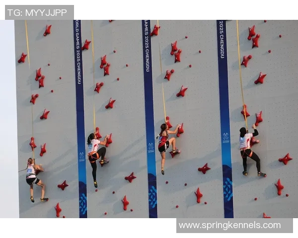 攀岩热点：解读成都攀岩队的转换_1