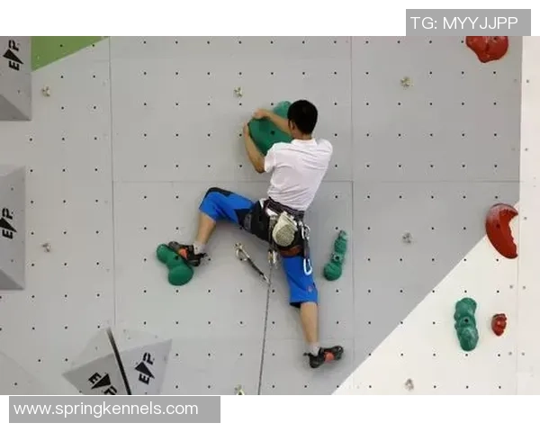 数据分析：西安攀岩队的速度表现