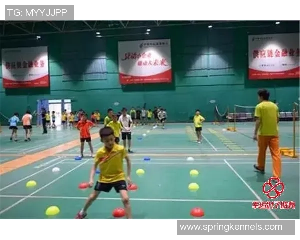 杨敏独家：分享羽毛球心得