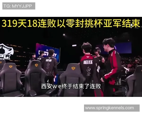 王者荣耀专题：聚焦WE的意识