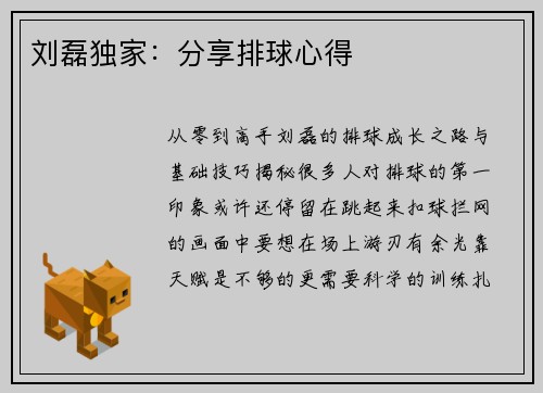 刘磊独家：分享排球心得